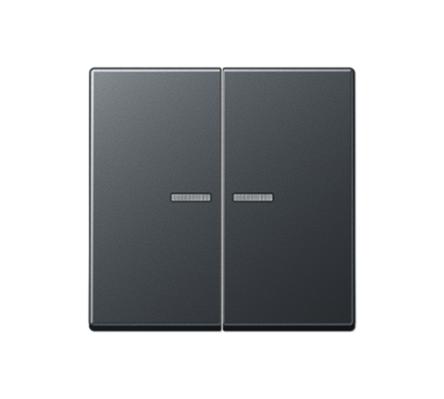 Клавиша для KNX кнопки, 2 группы, с окошком; термопласт; матовый антрацит  A102KO5BFANM  Jung