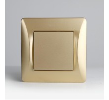 Заглушка (золотой) серия BW  201345  SPL