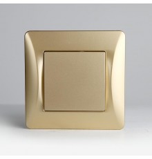 Заглушка (золотой) серия BW  201345  SPL