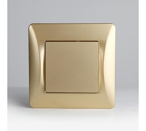 Заглушка (золотой) серия BW  201345  SPL