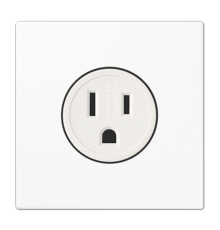 розетка NEMA 5-20R 15А, 125В АС белая  LS521-15WW  Jung