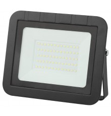 Прожектор светодиодный LPR-061-0-65K-050  50Вт 4600Лм 6500К 205x165x33  Б0043591  ЭРА