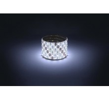 Лента светодиодная  LS5050 -14,4-60-12-6500K-IP65-1 year-5m холодный белый 5м  Б0059914  ЭРА