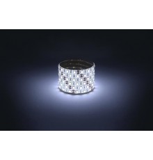 Лента светодиодная  LS5050 -14,4-60-12-6500K-IP65-1 year-5m холодный белый 5м  Б0059914  ЭРА