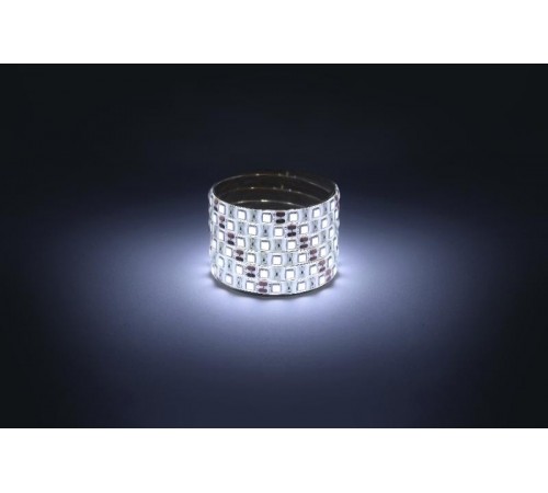 Лента светодиодная  LS5050 -14,4-60-12-6500K-IP65-1 year-5m холодный белый 5м  Б0059914  ЭРА