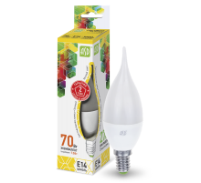 Лампа светодиодная LED-СВЕЧА НА ВЕТРУ-standard 7.5Вт 230В Е14 3000К 675Лм  4690612004556  ASD