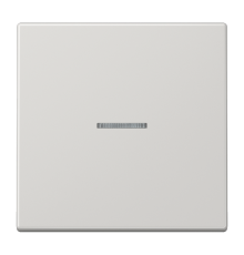 Одинарная клавиша с окошком для балансирных механизмов выключателей (кнопок), в комплекте с CD90HP (крепежный элемент), возможно IP44; дюропласт; свет