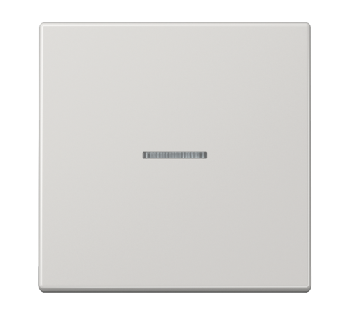 Одинарная клавиша с окошком для балансирных механизмов выключателей (кнопок), в комплекте с CD90HP (крепежный элемент), возможно IP44; дюропласт; свет