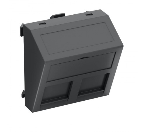 Корпус компьютерной розетки Modul45 тип PA (наклонный) 45x45 мм (черный) (DTS-2PA SWGR1)  6119264  OBO Bettermann