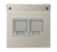 Плата (фиксация защёлкиванием) с полем для надписи для двух модулей; металл; нержавеющая сталь ES1969-2NAWE Jung