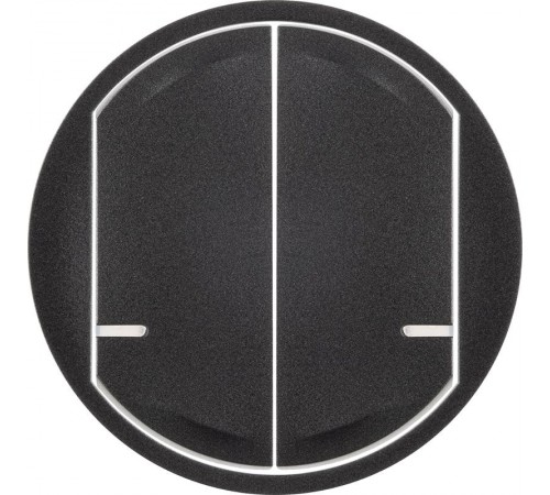 Панель лицевая Celiane для Умн. проводн./беспроводн. 2-кл. выкл. графит Netatmo  064836  Legrand