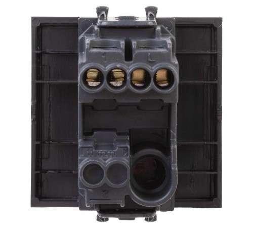 Выключатель одноклавишный модульный, "Avanti", "Черный матовый", 2 модуля  4412102  DKC