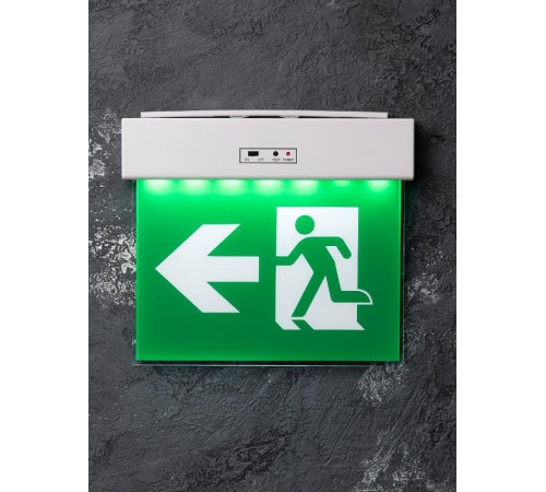 Светильник аварийного освещения EXITplus-201 двухстор. LED  EXITP-DS-201-LED  EKF