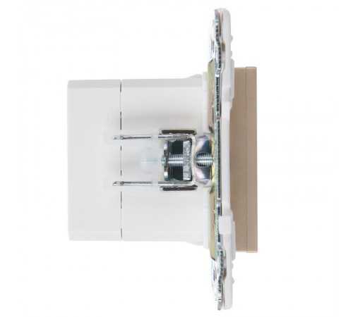 SKANDY Розетка USB A+C 3,1А SK-R14Sh шампань  SK-U22-D31-K37  IEK