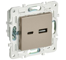 SKANDY Розетка USB A+C 3,1А SK-R14Sh шампань  SK-U22-D31-K37  IEK