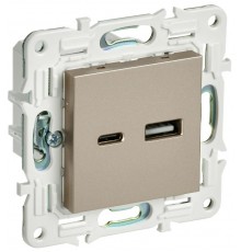 SKANDY Розетка USB A+C 3,1А SK-R14Sh шампань  SK-U22-D31-K37  IEK