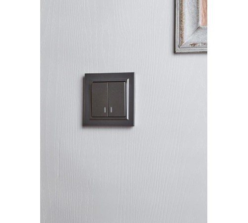 BRITE Выключатель 2-клавишный с индикацией 10А ВС10-2-1-БрС сталь   BR-V20-1-10-K46  IEK