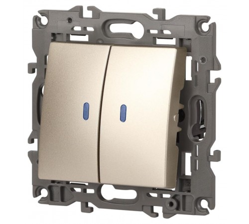 14-1105-04 Выключатель 2-клавишный с подсветкой, 10АХ-250В, IP20, Эра Elegance, шампань  Б0034240  ЭРА