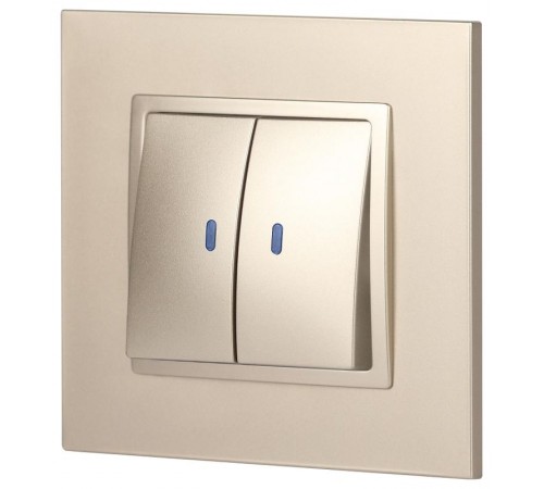 14-1105-04 Выключатель 2-клавишный с подсветкой, 10АХ-250В, IP20, Эра Elegance, шампань  Б0034240  ЭРА