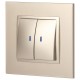 14-1105-04 Выключатель 2-клавишный с подсветкой, 10АХ-250В, IP20, Эра Elegance, шампань  Б0034240  ЭРА