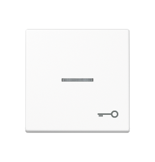 Клавиша для контрольного выключателя со знаком ключ; белый  A590KO5TWW  Jung