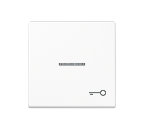 Клавиша для контрольного выключателя со знаком ключ; белый  A590KO5TWW  Jung