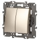 14-1106-04 Переключатель двойной, 10АХ-250В, IP20, Эра Elegance, шампань  Б0034246  ЭРА