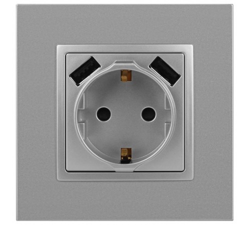 14-4109-03 Розетка без заземления+E 16A-250В, штор. с 2xUSB 5В-3А, Elegance, алюминий (10/100/2000)  Б0047869  ЭРА