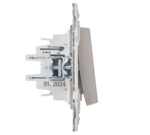 SKANDY Выключатель 1-клавишный с индикацией 10А SK-V07Sh шампань  SK-V10-1-10-K37  IEK