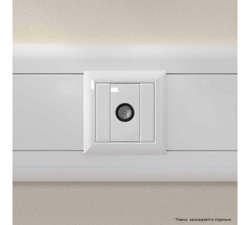 Розетка TV оконечная модульная, "Avanti", "Белое облако", 1 модуль  4400521  DKC