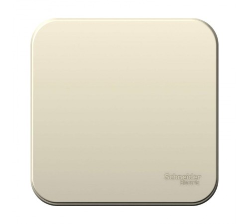 Blanca Молочный О/У с изолирующей пластиной Выключатель 1-клавишный 10А, 250B  BLNVA101012  SE