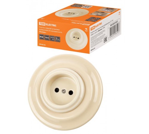 Розетка скрытой установки фарфоровая 2П 10А 250В сл. кость "Болонь"  SQ1820-0321  TDM