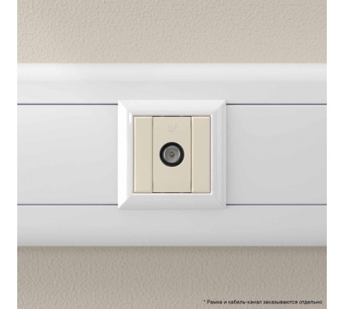 Розетка TV проходная модульная, "Avanti", "Ванильная дымка", 1 модуль  4405511  DKC
