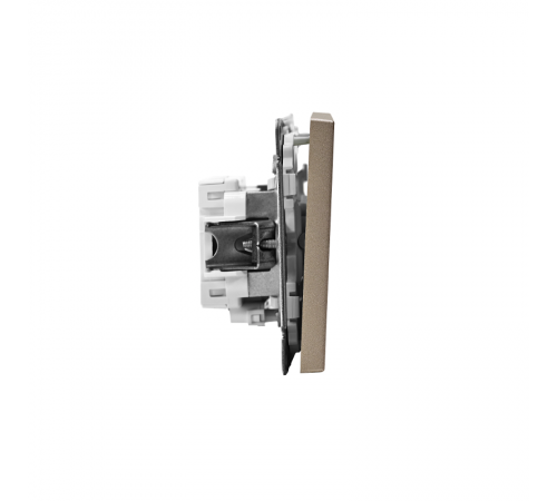 ArtGallery Шампань Выключатель 1-клавишный кнопочный с подсветкой, 10А, механизм  GAL000516  SE