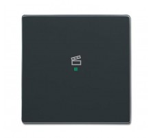SRS-1-81 Клавиша одинарная free@home, сцена, future, антрацит6220-0-0146 ABB