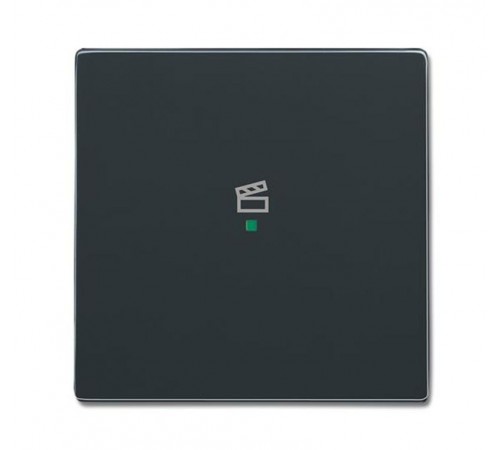 SRS-1-81 Клавиша одинарная free@home, сцена, future, антрацит6220-0-0146 ABB