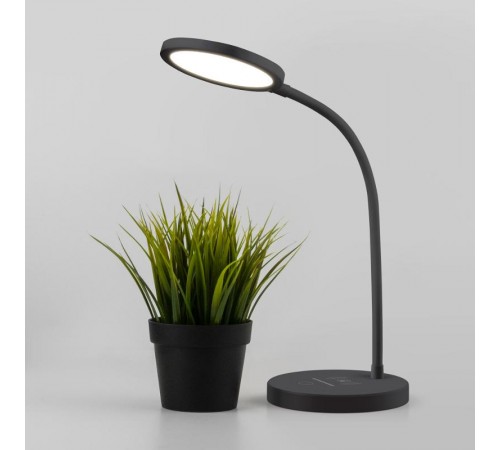 Светильник настольный Tiara черный (TL90560) 6Вт Eurosvet  a048743  Elektrostandard