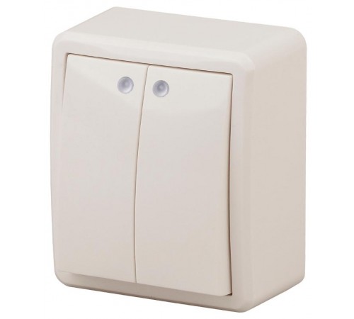 Выключатель 2-клавишный с подсветкой 11-1205-02 , 10АХ-250В, ОУ, Эксперт, Слоновая кость Б0020667  ЭРА