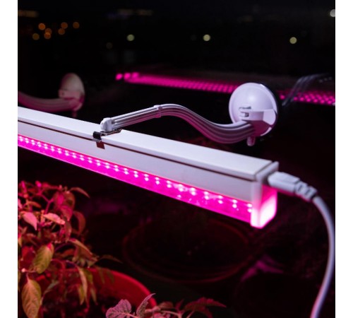 Кронштейн для фитоламп и фитосветильников FITO-Hanger на присоске  Б0056912  ЭРА