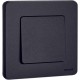 Inspiria Антрацит Переключатель без фиксации (кнопка) с Н.О./Н.З. контактом 6 A С/У без рамки  673693  Legrand