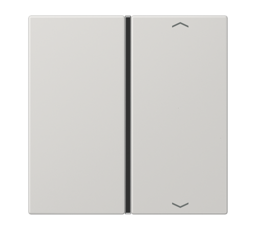 Клавиша для сенсорного модуля KNX, одиночная, светло-серая  LS401TSAPLG  Jung