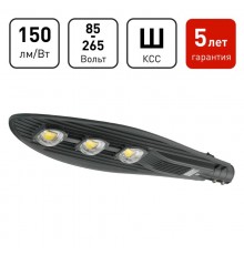 Светильник светодиодный консольный уличный ДКУ SPP-5-150-5K-W 150Вт 5000К IP65 22500Лм IP65  Б0029445  ЭРА