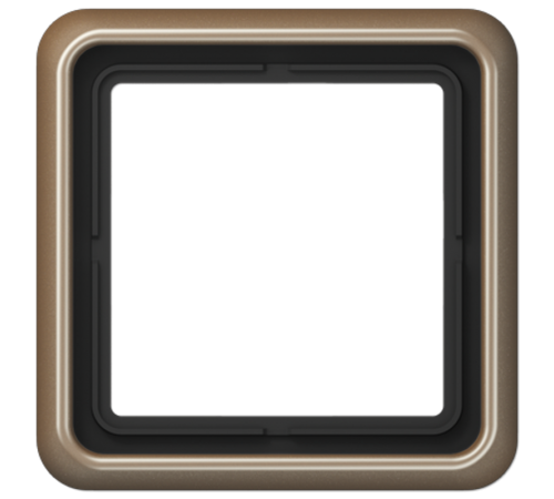 Рамка для вертикальной и горизонтальной установки, 1 пост; металл; золотая бронза; CD500  CD581GB  Jung