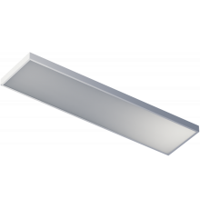 Светильник светодиодный с БАП NLP LED (45 мм) 14 869 ДВО-04-О-40-3К-IP40-A1  14869  INNOLUX