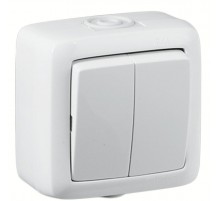 Выключатель открытой установки, двухклавишный, брызгозащищенный, цвет белый  ВА16-251  HEGEL