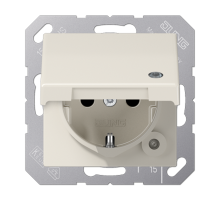 SCHUKO-розетка  с крышкой  AS1520BFKLKO Jung