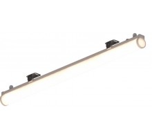 Светильник L-contour 1500/21,6/Д/730/03/A1-B3/24DC IP66  CN216-13-331-108  LEDEL