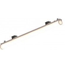 Светильник L-contour 1500/21,6/Д/730/03/A1-B3/24DC IP66  CN216-13-331-108  LEDEL