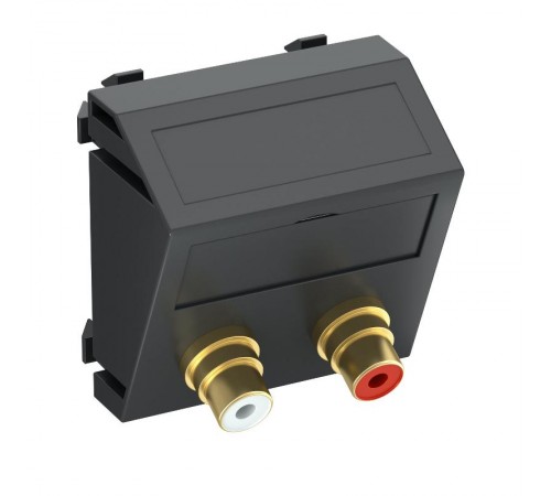 Мультимедийная рамка Audio-Cinch Modul45 (черный) (MTS-2R L SWGR1)  6105057  OBO Bettermann