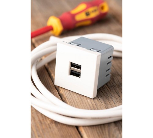 Розетка USB, сила тока 2,1 А (2 гнезда) без индикатора  E2MR2-20USB-10  EKF